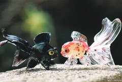網野篤子　ガラスの金魚と生き物達展 画像1